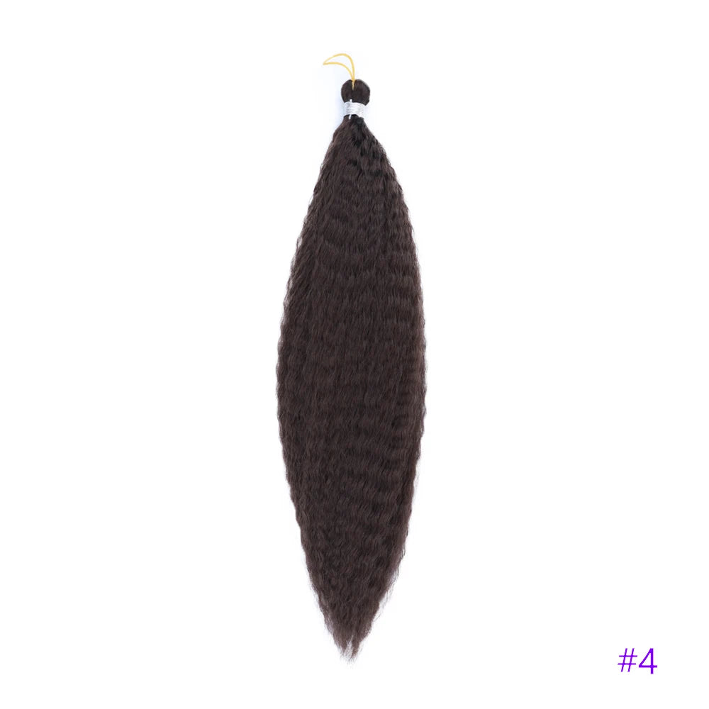 Synthetic Crochet Hair Afro Kinky Curly Crochet Braids for Women Curly Fake Hair Extensions Synthetic Braiding Hair Extensions